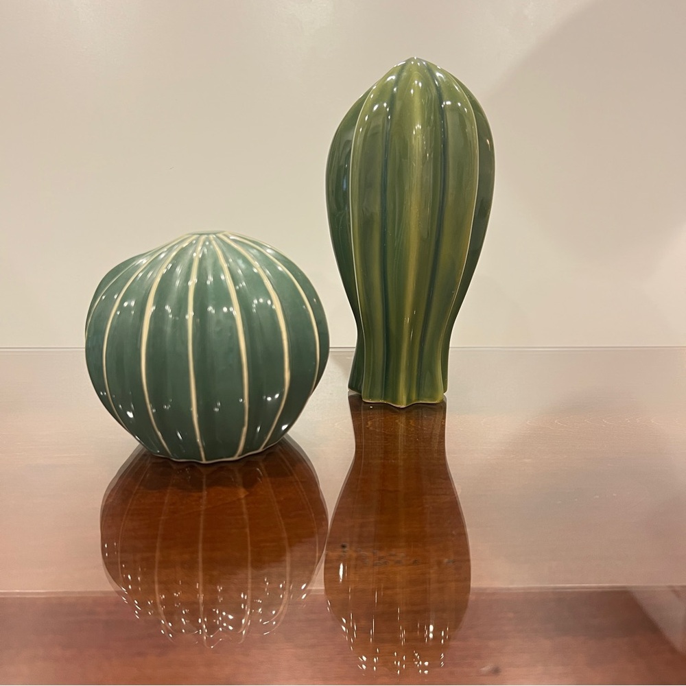 Green Ceramic Cactus Decor Set